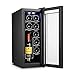 Refroidisseur de vin à double zone double-bouteille de 12 bouteilles avec stockage de bouteille verticale-blanc et refroidisseur de vin refroidisseur refroidisseur Compact