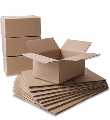 IPEA Cajas de Cartón 25 x 18 x 12 cm para Envíos, E Commerce, Regalos – [ 10 PIEZAS ] – Made in Italy – Cajas Rectangulares Multiuso para Embalaje de Objetos, Eventos, Fiestas – Caja Pack