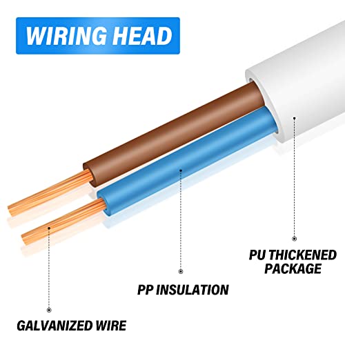TAILONZ PNEUMATIC Interruptor de indução magnética cilíndrica cilindro interruptor magnético sem con