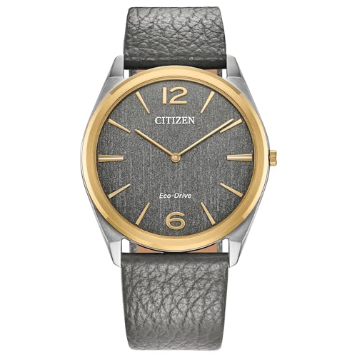 Citizen Unisex Eco-Drive Classic Eco, Two-Tone Stainless Steel Watch, Gray Leather Strap, 2 Hand (Model: AR3124-07H)
