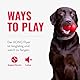 KONG Flyer - Langlebiges Outdoor Hundespielzeug - Wurfscheibe aus Naturkautschuk zum Apportieren - Für Mittelgroße/Große Hunde
