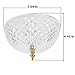 Trenton Gifts Decorative Dome Cover for Ceiling Light Fixture, Hanging Home Decor with Clip