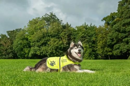 4LegsFriend Hunde Sicherheitsweste mit Leinenbefestigungsring 5 Größen - Hohe Sichtbarkeit für Outdoor Aktivitäten Tag und Nacht, Hält den Hund Sichtbar, Sicher vor Autos und Jagtunfällen (XL)