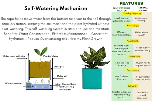 Image of Indian Discovery Self Watering Wall Hanging Planter|Hanging /Hooked Flower Pots for Home, Balcony, Garden Decor Flower Pots(2 PC, Peacock Green, Square) |6 Inch UV-Resistant Plastic Plant Pots