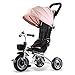 BGHKFF 4 En 1 Triciclo para Niños Cinturón De Seguridad De Tres Puntos Triciclo Bebé Plegable Amortiguador Freno De Rueda Trasera Triciclo para Niños con Capota Capacidad De Carga 40KG,Pink-OneSize