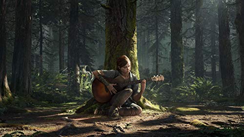 Image of Sony The Last of Us II (PS4)