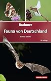 Brohmer – Fauna von Deutschland: Ein Bestimmungsbuch unserer heimischen Tierwelt (Quelle & Meyer Bestimmungsbücher) - Herausgeber: Matthias Schaefer 