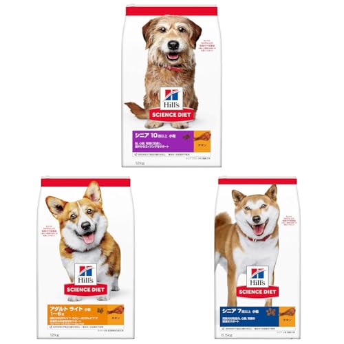 yZbgzqY TCGX_CGbg hbOt[h VjAvX  10Έȏ `L 12s p hC + qY TCGX_CGbg hbOt[h A_g Cg 1~6  `L 12s p hC 얞 + qY 