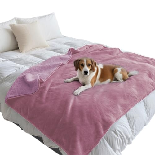 Angoda ybgh}bg \ 唻TCY h~  L ^ ^  xbh \t@[ 50cm 75cm 150cm 200cm (75*100cm,sN)