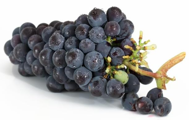 Kejora Fresh Black Seedless Grapes, 2 Lbs