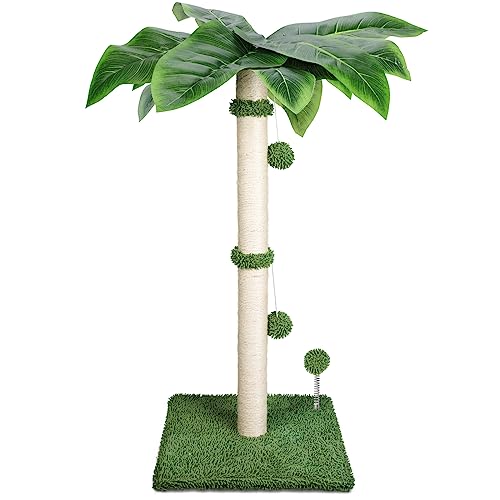 HEVOL Kratzstamm,80cm Kratzsäule für Katzen aus Natürlichem Sisalseil,Kratzstamm für Katzen mit 2 Interaktiven Plüschbälle Bällen und Frühling Spielzeugball für Katzen im Haus-Grün