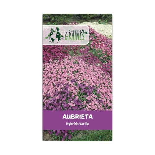 graines AUBRIETIA hybride varié 0,5 grammes soit environ 1000 graines - AUBRIETA rocail massif couvre sol varié