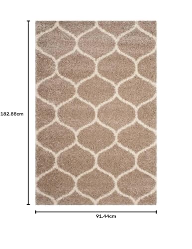Image of F & B RUGS ; SUPERIOR QUALITY PRODUCTS Firoz and Brothers Handwoven Super Soft Indoor Modern Shag Microfibre Silky Fluffy Smooth 3x6 feet Beige