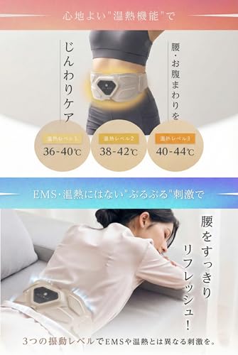 RELAGE リラージュ EMS InnerCare Flex RL-CF-EICF10-GE の商品画像 4