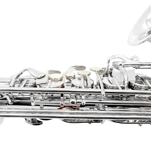 Image of Alto Sax Saxophone Beginner Kit Alto Saxophone E Flat with Mouthpiece Carrying Case Straps 10Reeds for Students and Adults