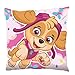 Coussin Pat' Patrouille Skye Rose 40 x 40 cm