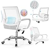 PPW All in White Office Chairs,White Desk Chairs with Lumbar Support + White armrests Mesh Chair can