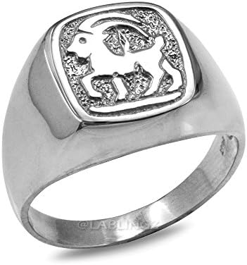 10K White Gold Capricorn Mens Zodiac Ring (15.25) (8)