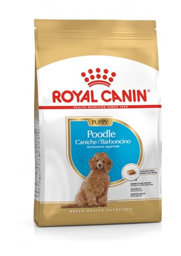 Royal Canin Poodle Puppy | 3 kg | Alimento completo per cuccioli di Barboncino | Fino a 10 mesi | Per supportare le difese naturali e la qualità del pelo | Con Omega-3 e antiossidanti