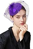 BABEYOND Fascinator Hat Veil Feather Fascinator Hair Clip Tea Party Pillbox Derby Hat Fascinator Bridal Wedding Veil