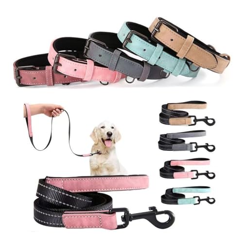 Individuelle Hundehalsbänder, reflektierendes Hundehalsband aus Leder, personalisiertes graviertes Namensschild, verstellbare Größen für kleine, mittelgroße und große Hunde