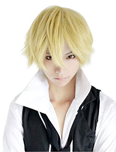 Rise World Wig Cool Mens Boys Short Straight Blonde Hair Party Heat Resistant Cosplay Wig