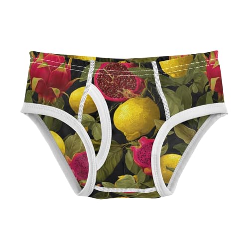Wusikd Yellow Lemons Boys' Underwear Cotton Dragon Fruit Boys Briefs Soft Toddler Underwear 2T