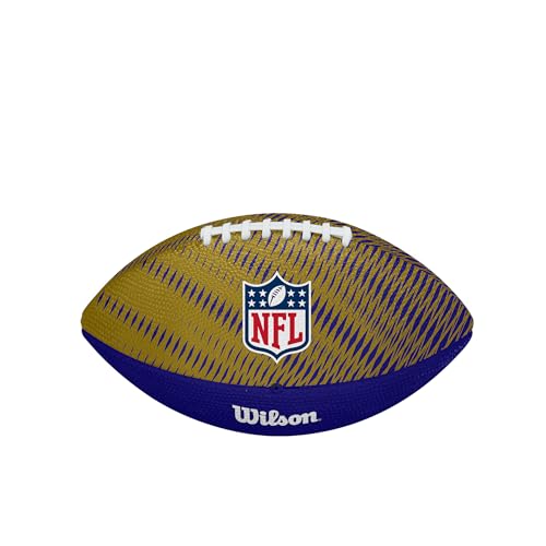 Image of WILSON Unisex NFL Team Tailgate Footballs
