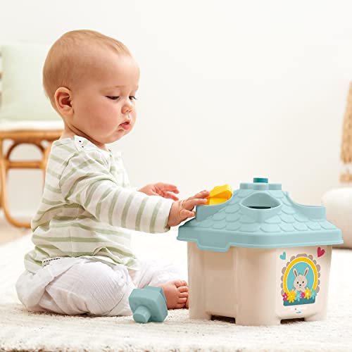 Jouets Ecoiffier - 7914 - La Maison des Formes - BB Abrick - Jeu d'eveil - A partir de 12 Mois - Origine France Garantie, Pastel
