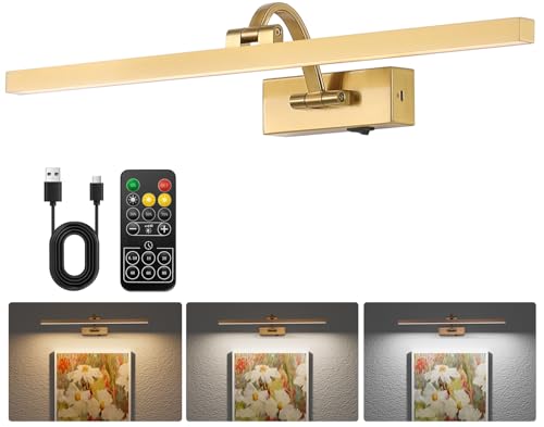 DarHorz Wireless Picture Lights for Wall,23.5 Inch Brass Art Light for Paintings,Battery Operated...