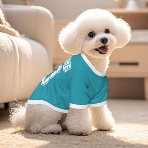 Image of Personalized Girl Dog Clothes, Custom Puppy Clothes, Customized Puppy Shirts with Name and Number, Customizable Dog Jerseys, Pomeranian Accessories, Costume for Dogs, Puppies Birthday Gifts