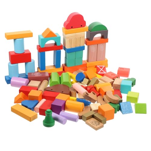 Blocs de cognition des couleurs Mikinona : cadeau d'anniversaire éducatif en bois 100 pcs