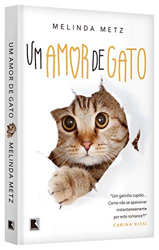 Um amor de gato