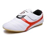 MSMAX Martial Arts Shoes Kids Kung Fu Tai Chi Sneakers Women Taekwondo Boxing Shoes for Men,2 M US Little Kid White