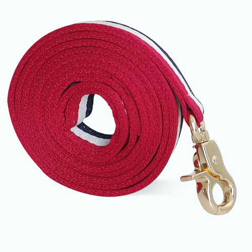 Premium Dog Leash with Luxury Style, Soft Durable Dog Leashes, Walking Training Leash for Small Medium Large Dogs Premium Dog Leash with Luxury Style, Soft Durable Dog Leashes, Walking Training Leash for Small Medium Large Dogs