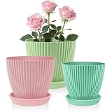 SupKing Plant Pots 5/4/3.5 Inch Set of 3,Small Mini Cute Plastic Flower Pots Planters with Mesh Drainage Holes Green Pink Blue Nursery Round Planting Pot for Indoor Outdoor Garden Plants
