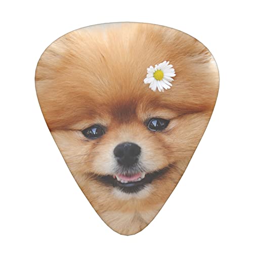 Médiators en celluloïd coloré avec motif chien avec fleur – 3 épaisseurs différentes – Pour basse, amateurs de musique – Pour guitare électrique et acoustique – Comprend 0,46 mm, 0,71 mm, 0,96 mm - Les Beatles, Paul McCartney, John Lennon, RIngo Starr, George Harrison Médiators en celluloïd coloré avec motif chien avec fleur - 3 épaisseurs différentes - Pour basse, amateurs de musique - Pour guitare électrique et acoustique - Comprend 0,46 mm, 0,71 mm, 0,96 mm