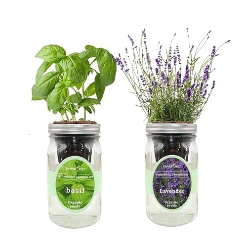Environet 2-Pack Hydroponic Mason Jar Herb Garden Kit, Indoor Herb Garden Self-Watering Starter Kit (Basil,Lavender)