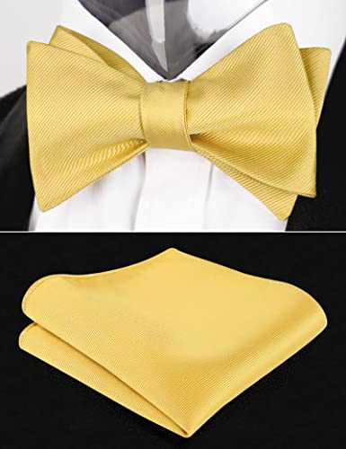 Image of Alizeal Mens 2pcs Solid Self-tied Bow Tie Set