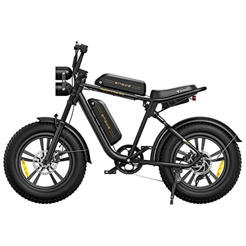 wowlomo Electric Bike for Adults, 1000W Electric Dirt Bike, 48V 26A Removable Dual Battery Ebike, 20 * 4.0" Fat Tire Electric Bike, Max 28mph 94Miles Range, All Terrain Off Road E-Bike(Black) Cover