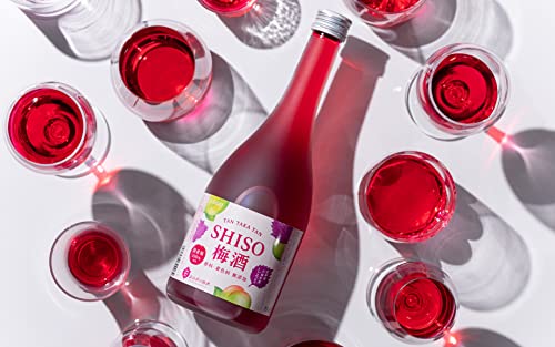 合同酒精 鍛高譚の梅酒 720ml の商品画像 1