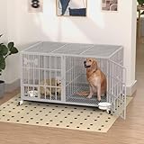 Hundekäfig, Hundebox mit Bodenschale, Hundekäfig mit Trennwand, Hundegitterbox mit 2 Türen und Tablett, 2 in 1 Doppelbox Hundegitterbox für Große und mittlere Hunde, 120 x 73 x 68 cm, Silbrig