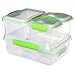 Sistema Fresh Collection 12 Piece Multi Piece Food Storage Containers in Assorted Shapes, Clear/Lime Green