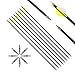 6/12pc Custom Length Carbon Arrows Spine 300 350 400 500 600 700 800 Removable Tips 2