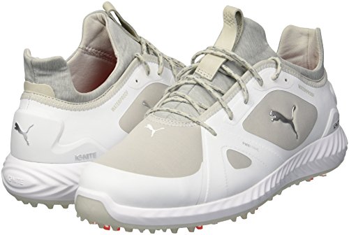 Puma Golf Men's Ignite Pwradapt Golf Shoe, Puma White-Gray Violet, 8.5 Wide Us #TOP6