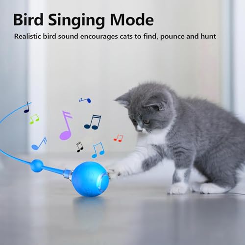 Boule électrique pour chats jouet intelligent rechargeable