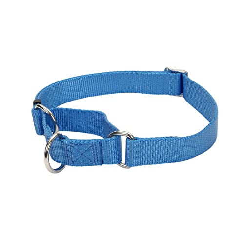 Coastal Pet - No Slip - Martingale Adjustable Dog Collar, Blue Lagoon, 3/4
