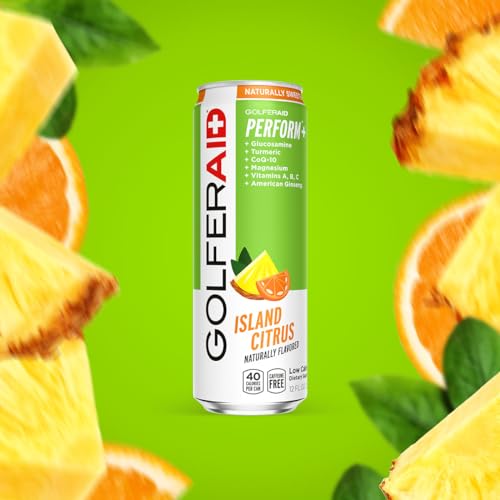 Image of GOLFERAID Performance Blend, Up Your Golf Game, No Caffeine, Glucosamine, Turmeric, MSM, CoQ10, B-Complex, BCAAs and Electrolytes, 40 Calories, 100% Clean, Paleo, Vegan, 12-oz. cans (Pack of 24)