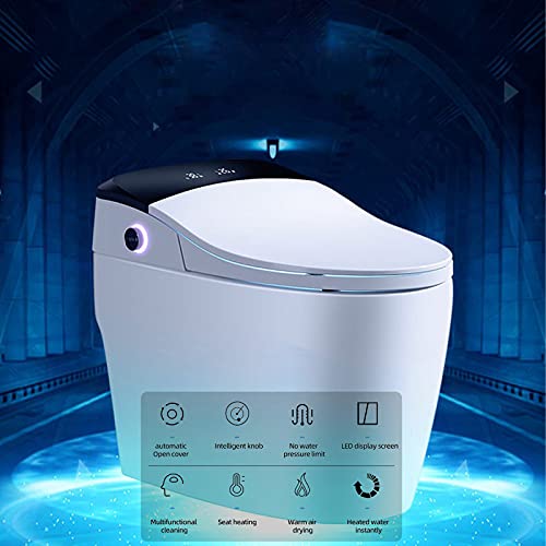 Vehpro Smart Toilet With Bidet - Luxury Integrated Bidet Seat Toilet, Elongated Glaze One-Piece Toilet, 550Lb Load, Remote Control, Hot Type, Automatic Flushing, Hip Cleaning, Drying (Rg-Bm-08) #TOP3