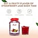 Fanale Premium Flavoring Jam for Bubble Tea | Strawberry Flavor Fruit Jam | for Boba Tea, Smoothies Paste, Slushes, Desserts | 10 pound | JAM001